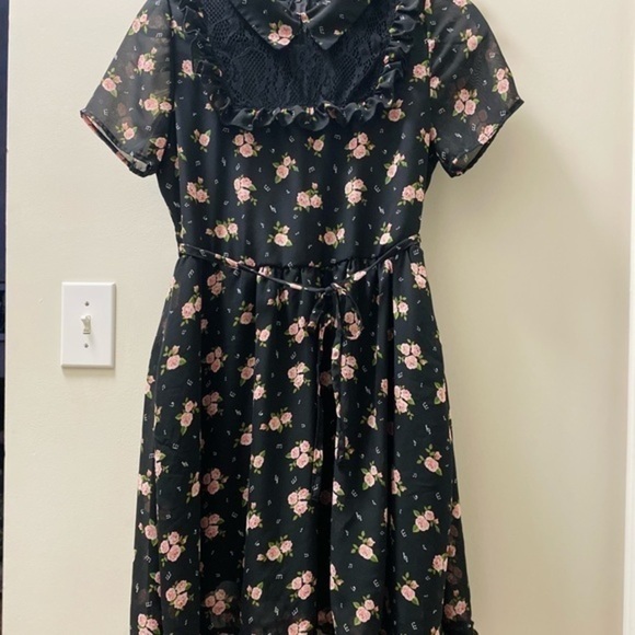Hot Topic Darling Black Dress with Pink Roses - Picture 10 of 14